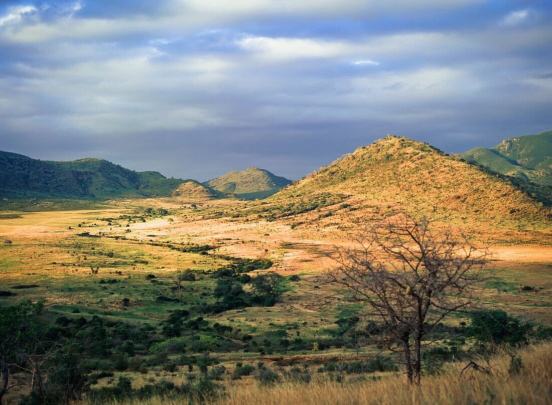 Elevated View Of Hilly Landscape