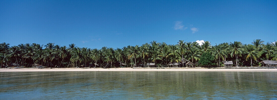 Strand mit Palmen, Panoramablick