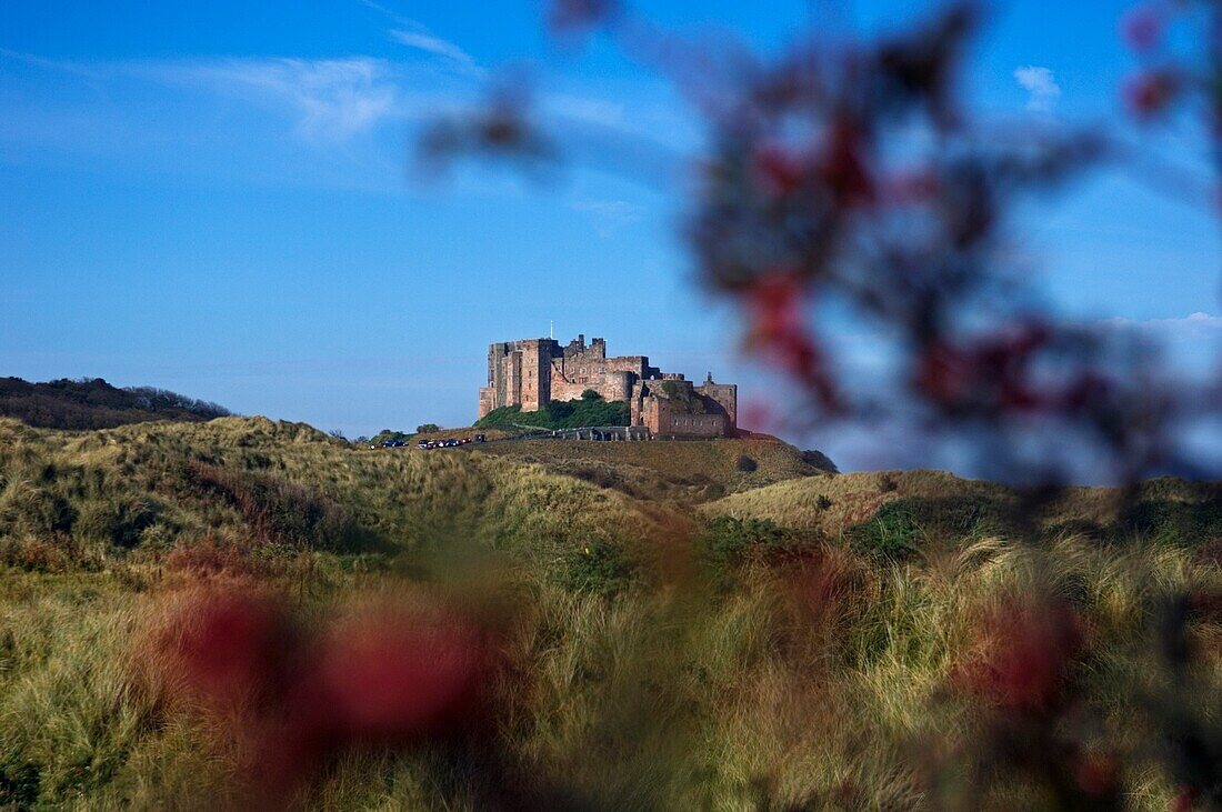 Blick über die Felder von Bamburgh Castle.