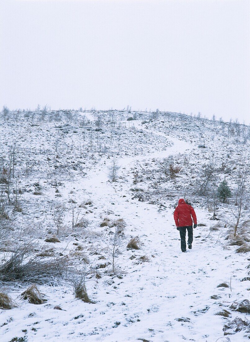 Mann geht im Schnee bergauf, Rückansicht