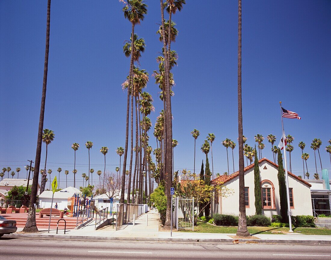 Palm Trees In Streets Of Los Angeles