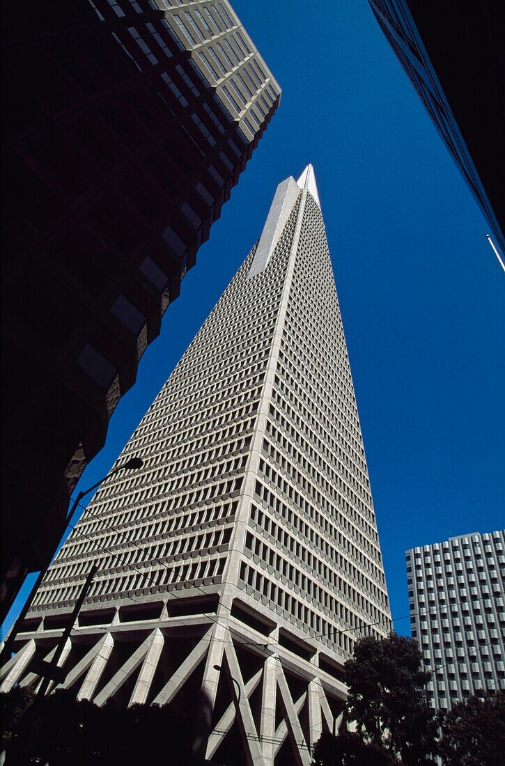 Niedriger Blickwinkel auf das Transamerica-Gebäude