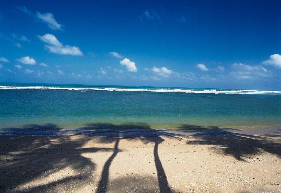 Schatten von Palmen am Strand
