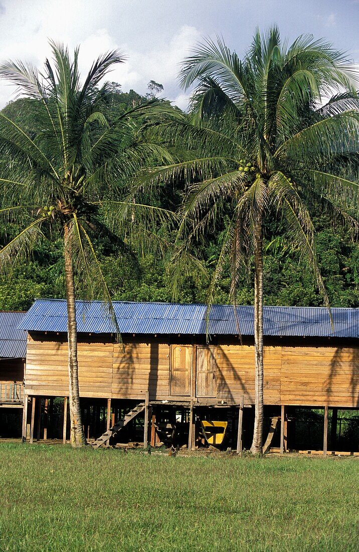 Singut Long Houses Of Kenyh Tribe, Near Rejang River