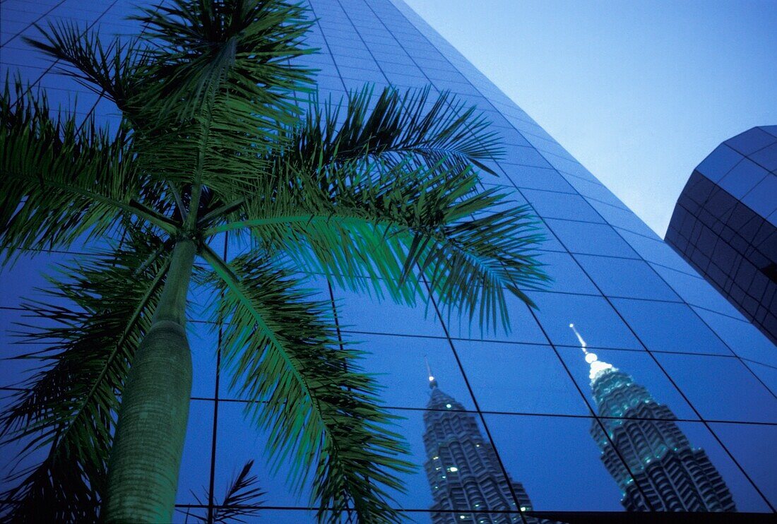 Palme und Spiegelung der Petronas-Türme in der Fassade