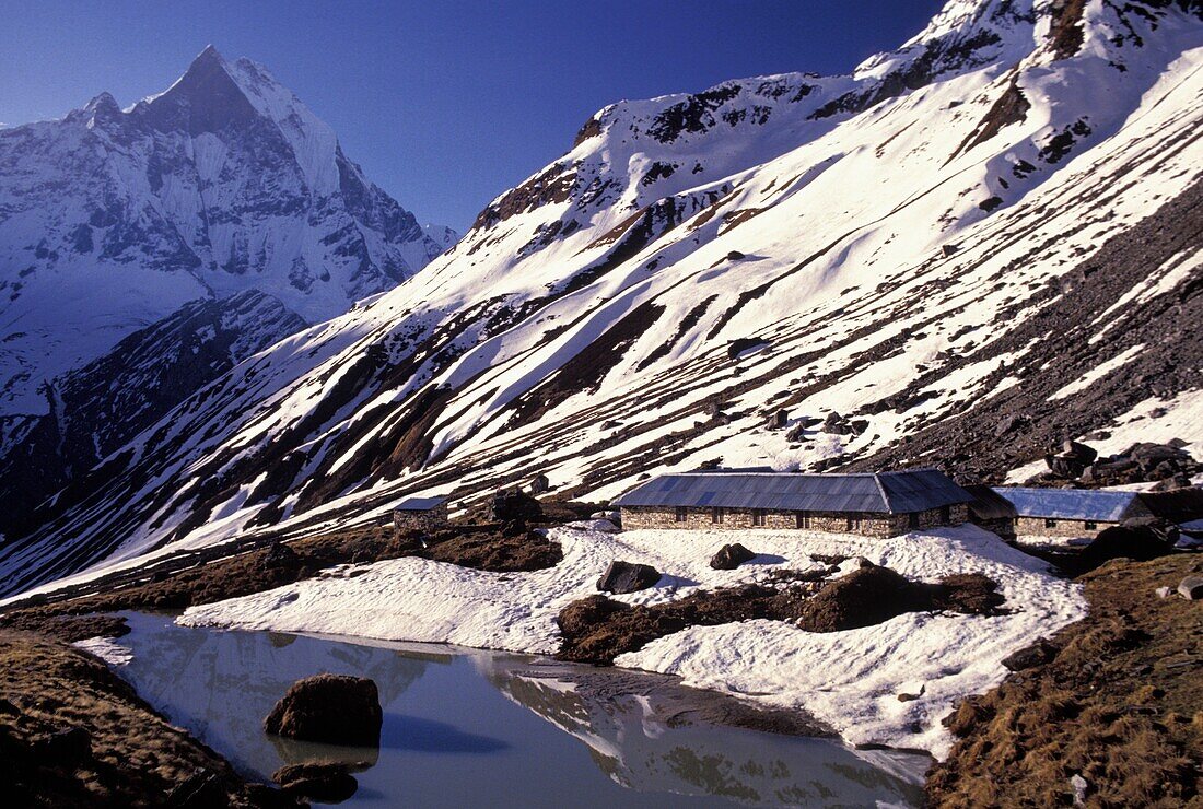 Base Camp Under Annapurna Peaks