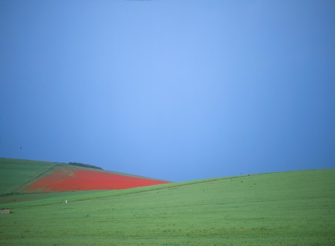 Fields In Seven Sisters Country Park