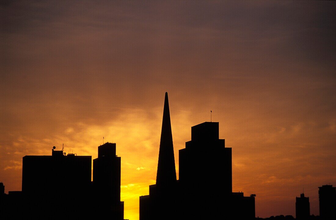 San Francisco Skyline With Transamerica Building