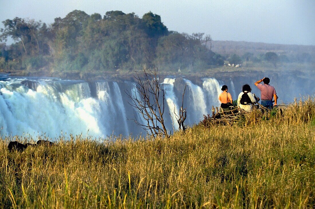 Tourists Watching Victoria Falls