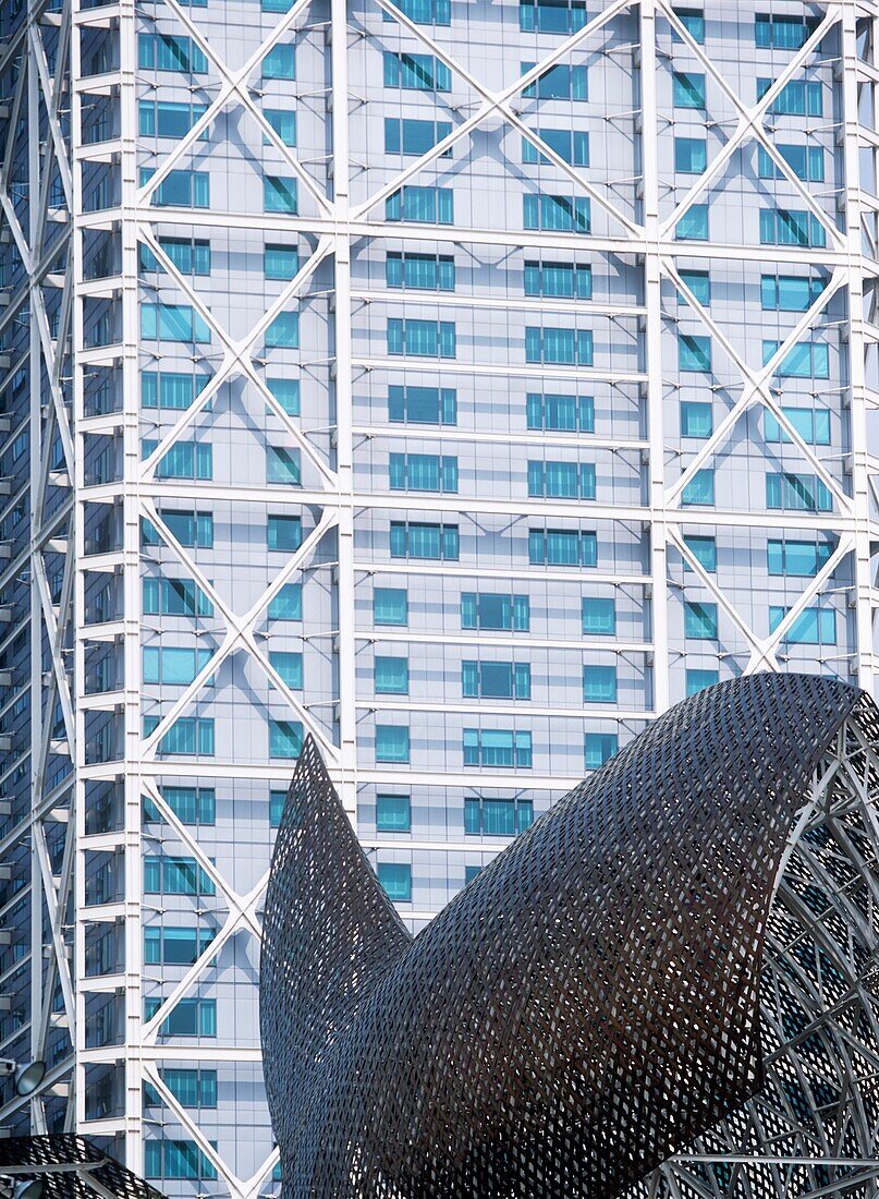 Detail Of Whale And Building In Olympic Village Area If Barcelona