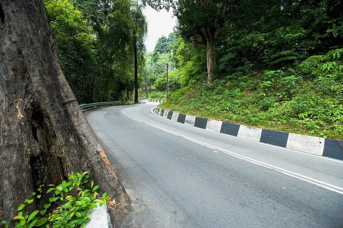 Mountain Road Around Penang Island