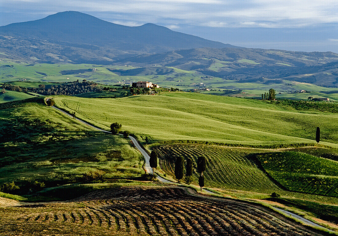 Felder mit Bauernhaus auf dem Gipfel eines Hügels
