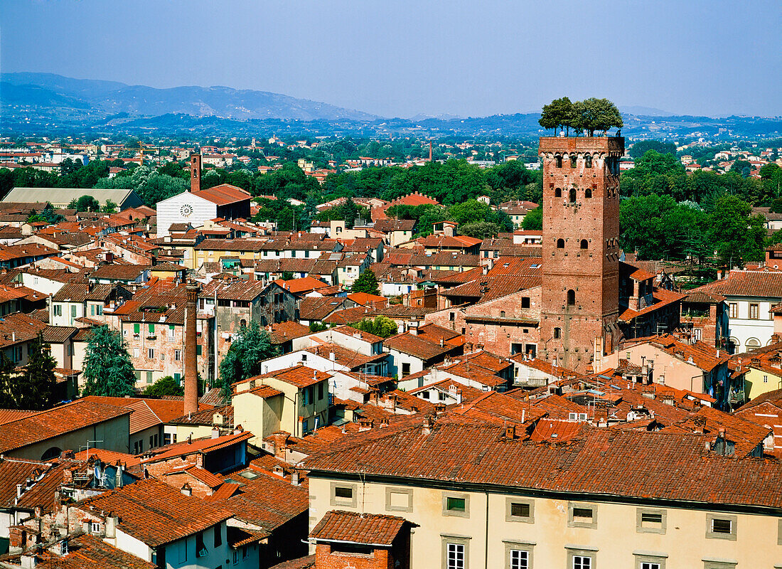 Stadtbild mit Guinigi-Turm