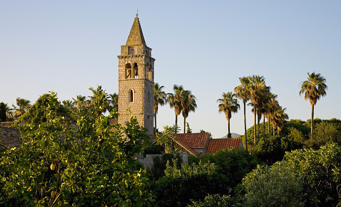 Church Amongst Trees At Sunset, Lopud,Croatia