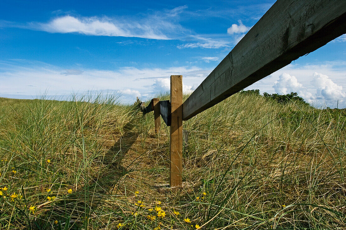 Fence Through Meadow, Jutland,Denmark