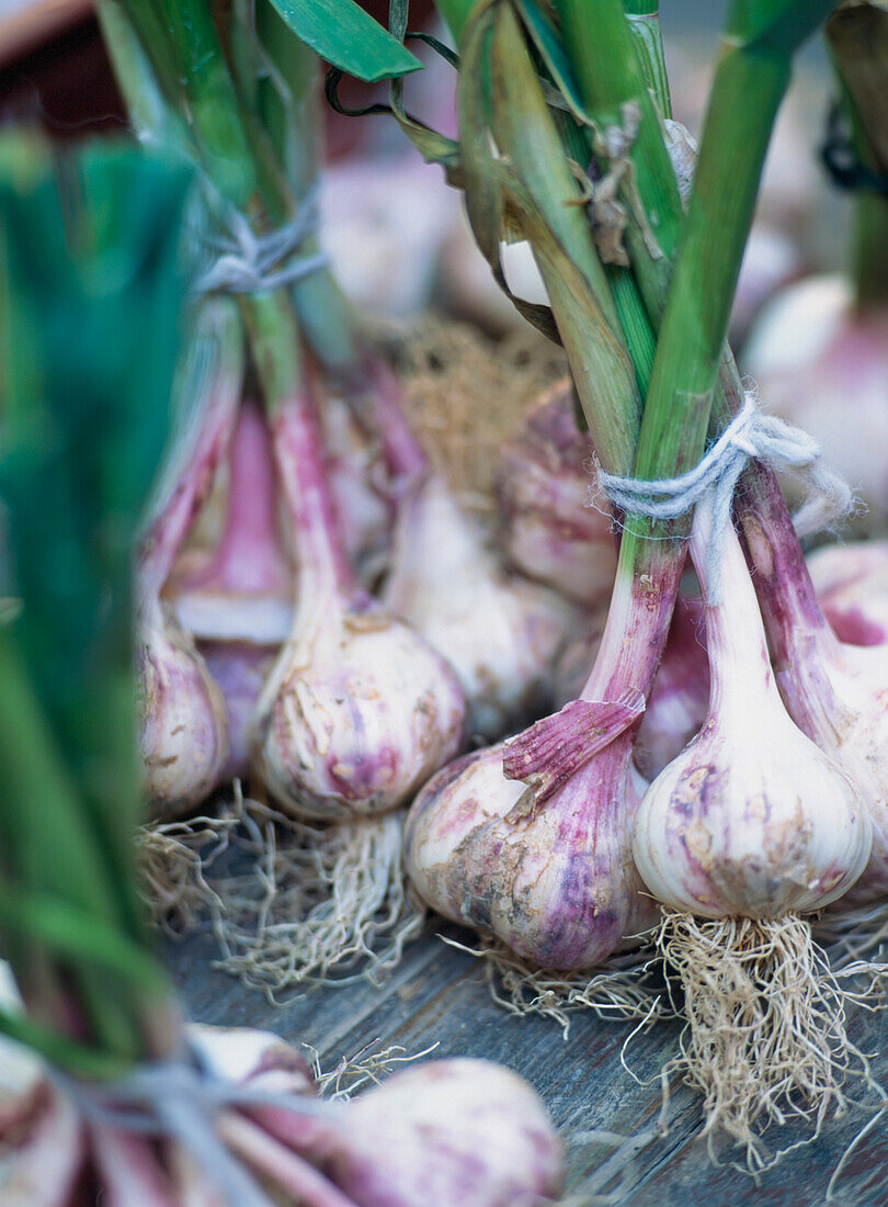 Fresh Garlic For Sale In The Market,Aix-En-Provence,France.