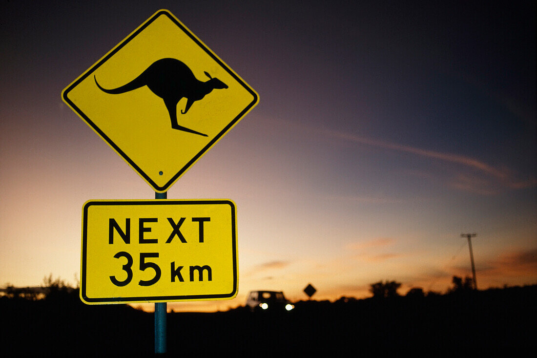 Kangaroo Road Sign With Bullet Holes,Central Australia.