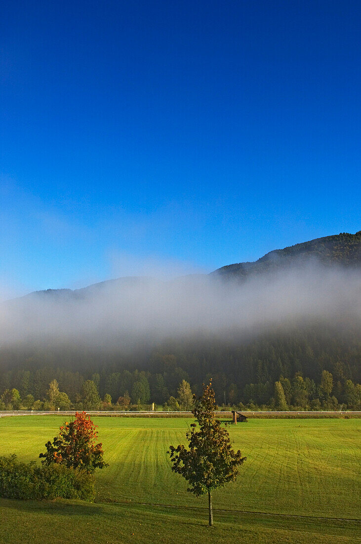 Kranjska Gora und Felder, Slowenien