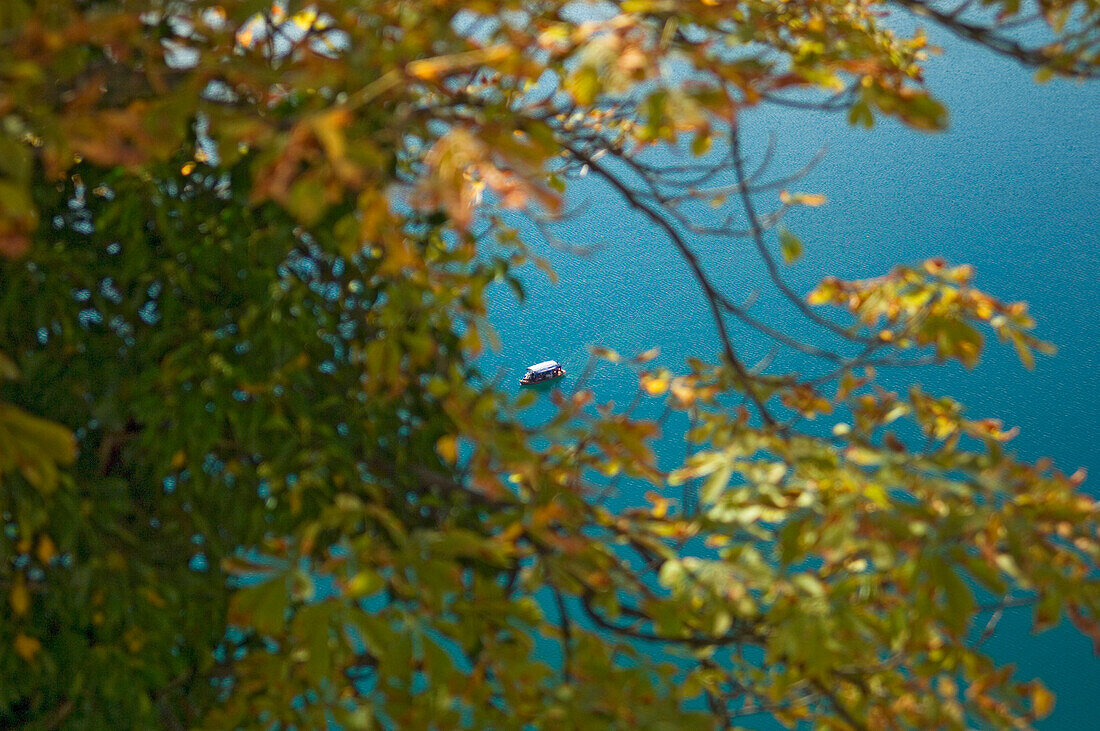 Distant View Of Boat Through Trees, Lake Bled,Slovenia