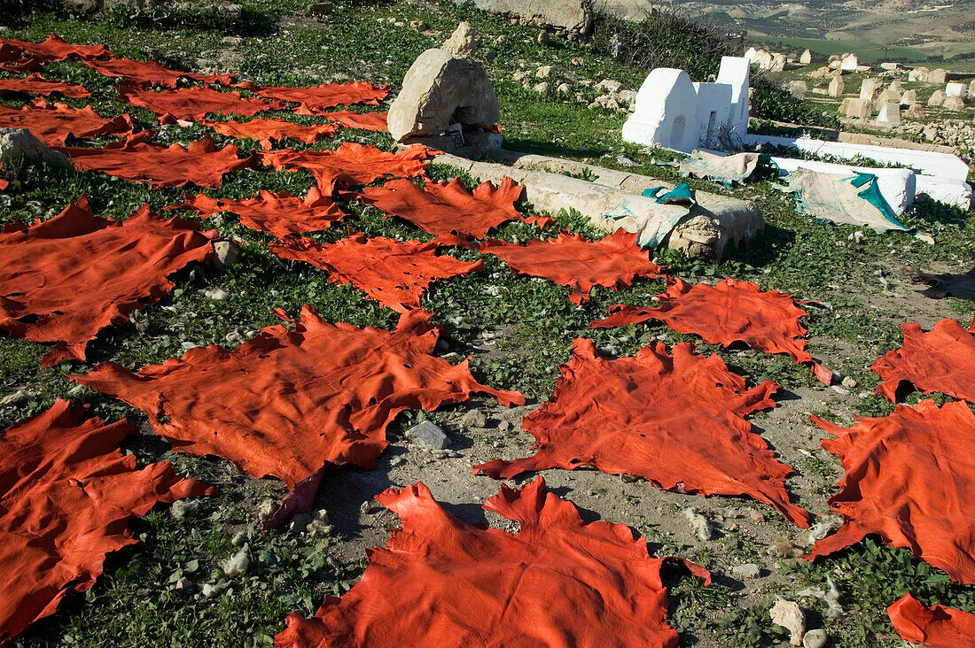 Tierhäute, die zwischen Grabsteinen trocknen, Fes, Marokko