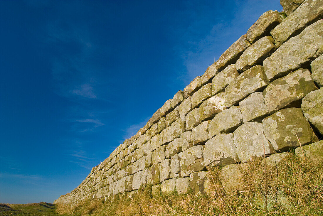 Hadrian's Wall in der Nähe von Housesteads, Northumberland,England,Großbritannien