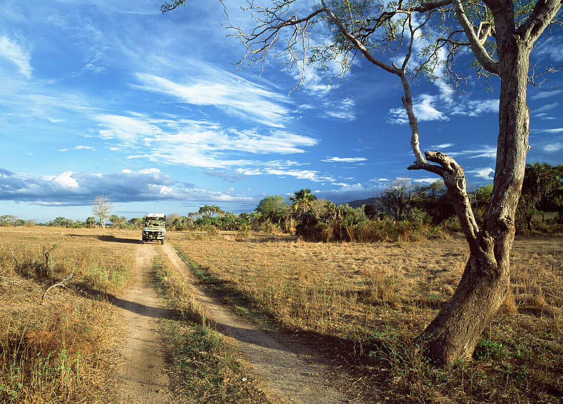 Jeep Driving Down Track At Dusk,Selous Game Reserve,Tanzania.