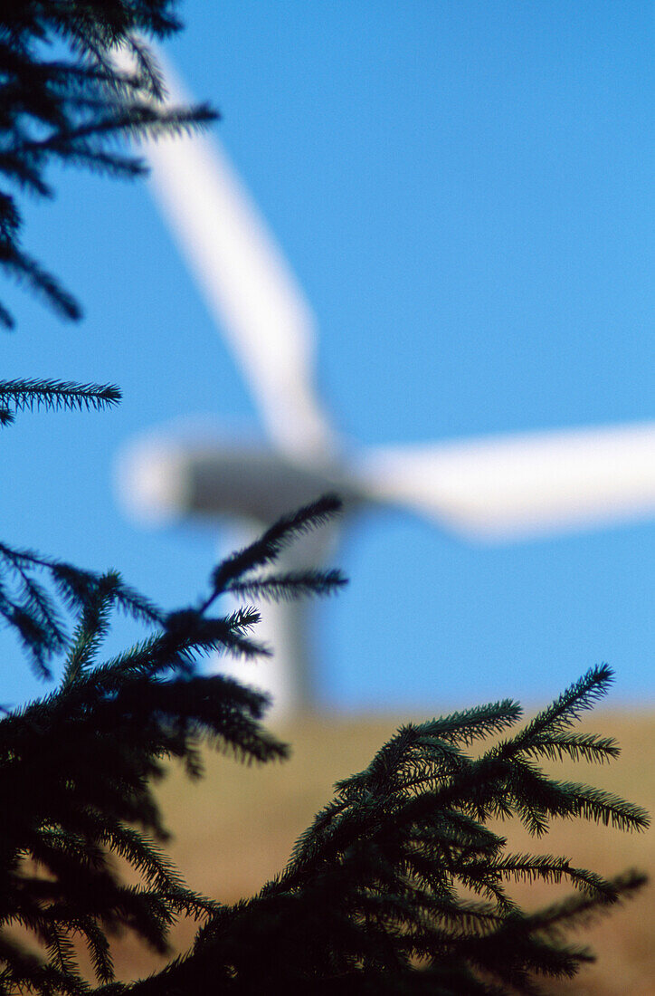 Wind Farm / Generation,Uk.