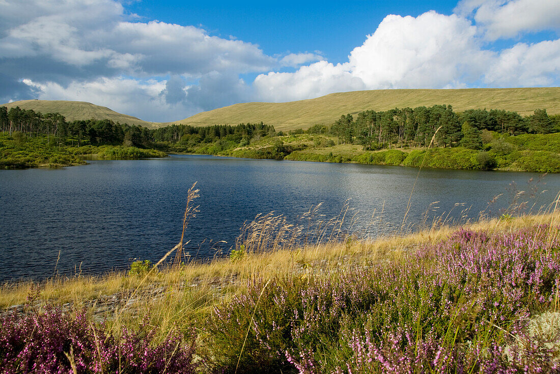 Brecon Beacons Neuadd Reservoir