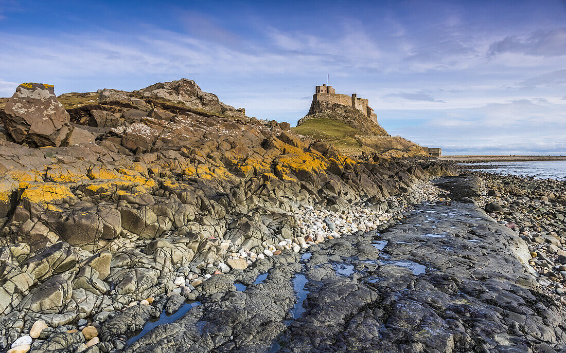 Die Heilige Insel Lindisfarne, eine Gezeiteninsel vor der Nordostküste Englands, deren Geschichte seit dem 6. Jahrhundert dokumentiert ist, und die 1550 erbaute Burg Lindisfarne; Lindisfarne, England.