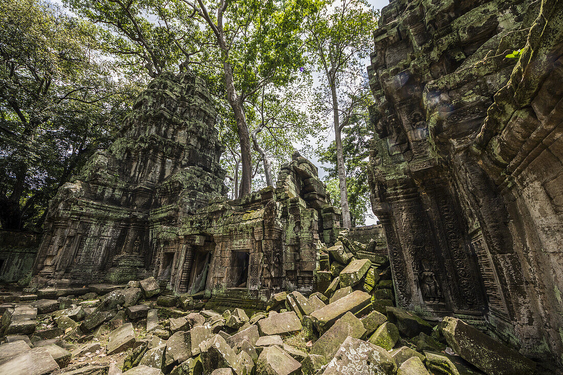 Ta Prohm temple ruins overgrown by vegetation; Angkor, Siem Reap, Cambodia