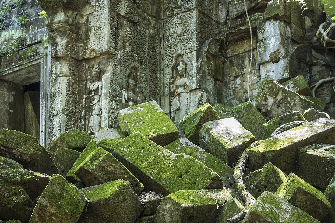 Moos auf umgestürztem Stein mit Basreliefs von Apsaras auf einer Tempeltür in den Ruinen des Khmer-Tempels von Beng Meala; Siem Reap, Kambodscha