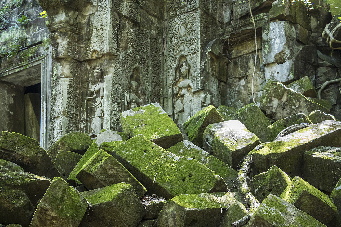 Moss growing on fallen stone with bas-reliefs of Apsaras on a temple door in the ruins of the Khmer temple of Beng Meala; Siem Reap, Cambodia