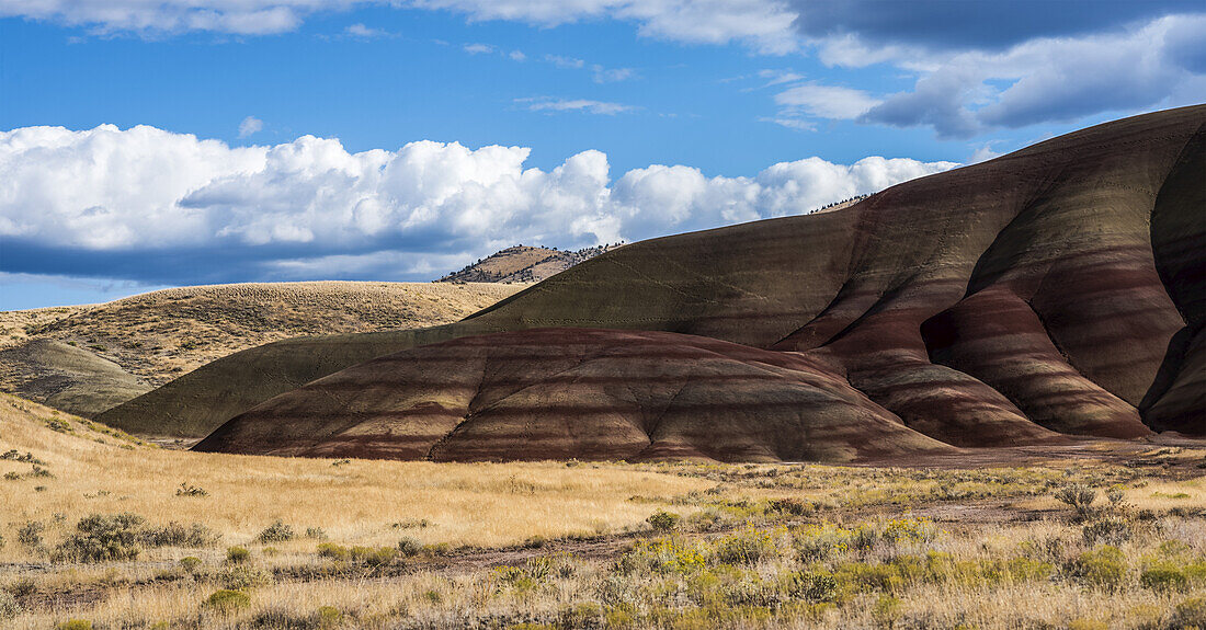 Colourful layers of minerals are exposed at John Day Fossil Beds National Monument. No grass grows on the Painted Hills Unit; Mitchell, Oregon, United States of America