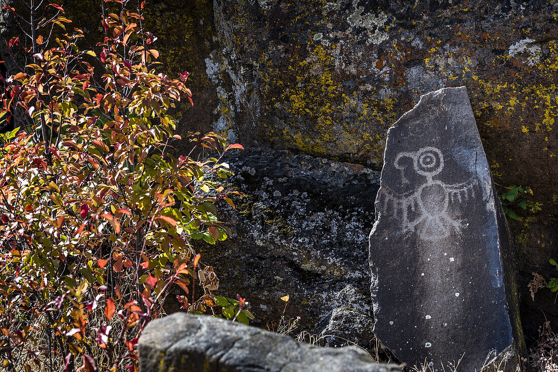 Petroglyphs found at Columbia Hills Historical State Park; Murdock, Washington, United States of America