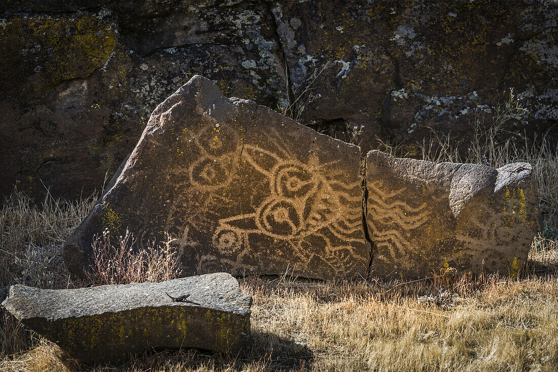 Ausgezeichnete Petroglyphen im Columbia Hills Historical State Park; Murdock, Washington, Vereinigte Staaten von Amerika
