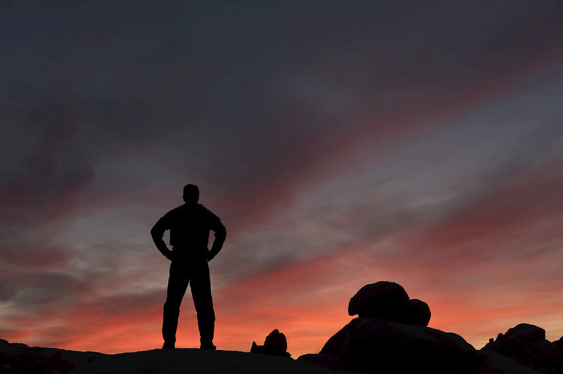 Silhouette eines Mannes, der den Sonnenuntergang im Joshua Tree National Park beobachtet; Kalifornien, Vereinigte Staaten von Amerika