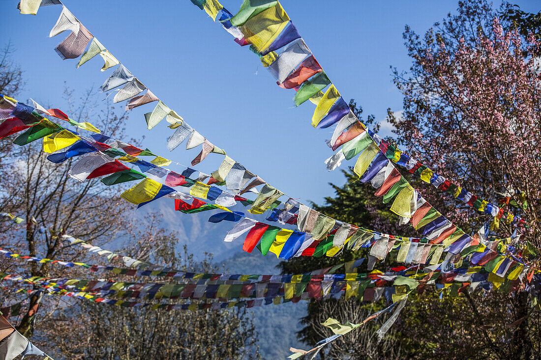 Buddhist prayer flags in the Nepalese Himalayas; Nepal