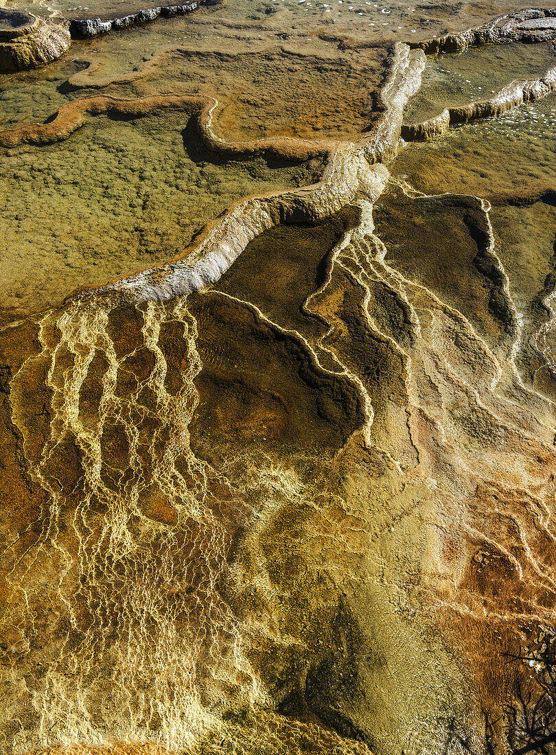 Luftaufnahme von Mammoth Springs, Yellowstone National Park; Wyoming, Vereinigte Staaten von Amerika