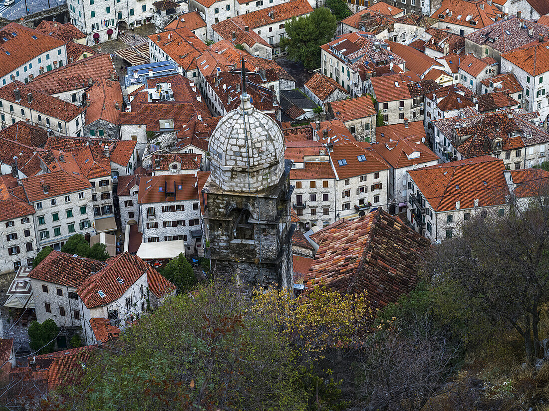 Blick vom Aufstieg zur Burg San Giovanni in Kotor; Kotor, Montenegro