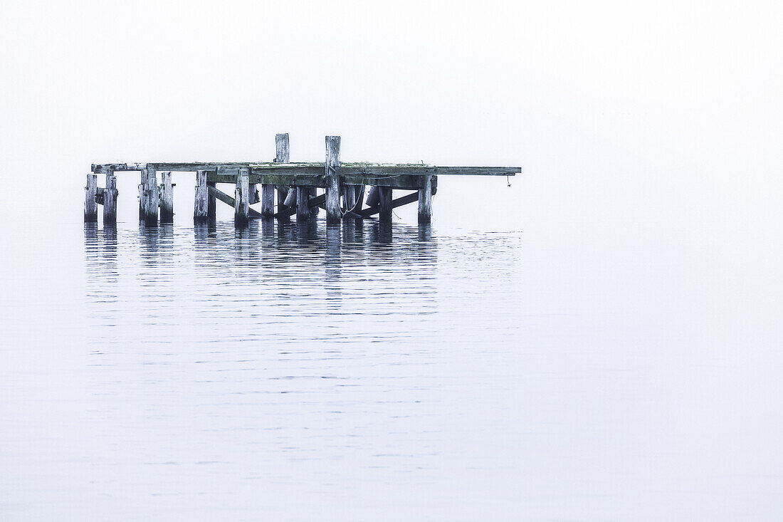 Die alte Anlegestelle im Wasser bei Djupavik; Djupavik, Westfjorde, Island