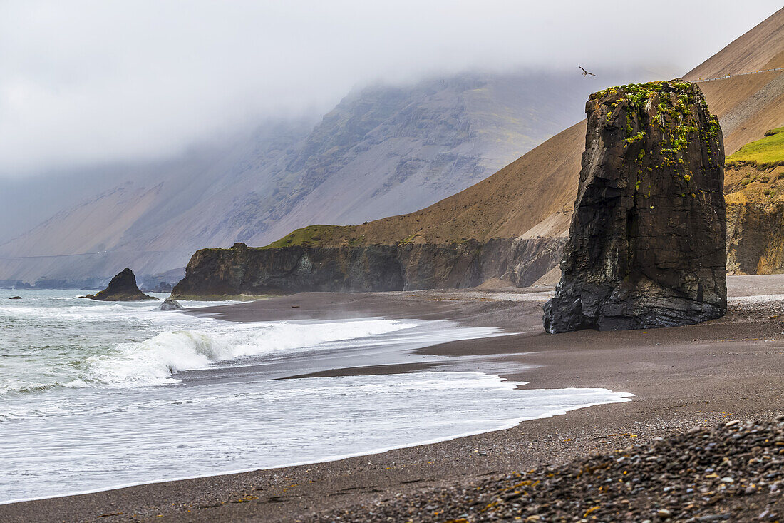 Ein abgelegener schwarzer Sandstrand und felsiger Meeresstapel in Ostisland im Sommernebel; Island