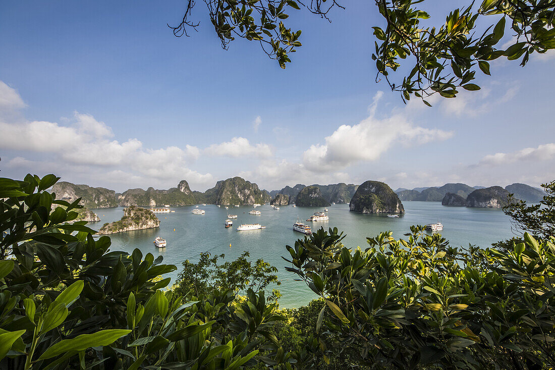 Blick auf die Kalksteinkarstlandschaft und die Inseln der Ha Long-Bucht von der Titov-Insel aus gesehen; Quang Ninh, Vietnam.