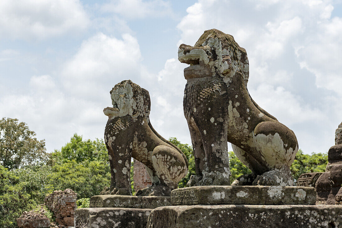 Mit Flechten bedeckte Steinlöwen bewachen Tempel, East Mebon, Angkor Wat; Siem Reap, Provinz Siem Reap, Kambodscha.