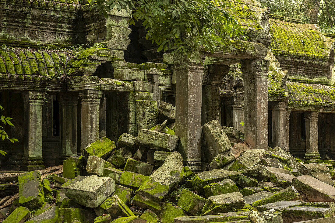 Ruine einer Tempelkolonnade durch umgestürzte Felsen, Ta Prohm, Angkor Wat; Siem Reap, Provinz Siem Reap, Kambodscha.