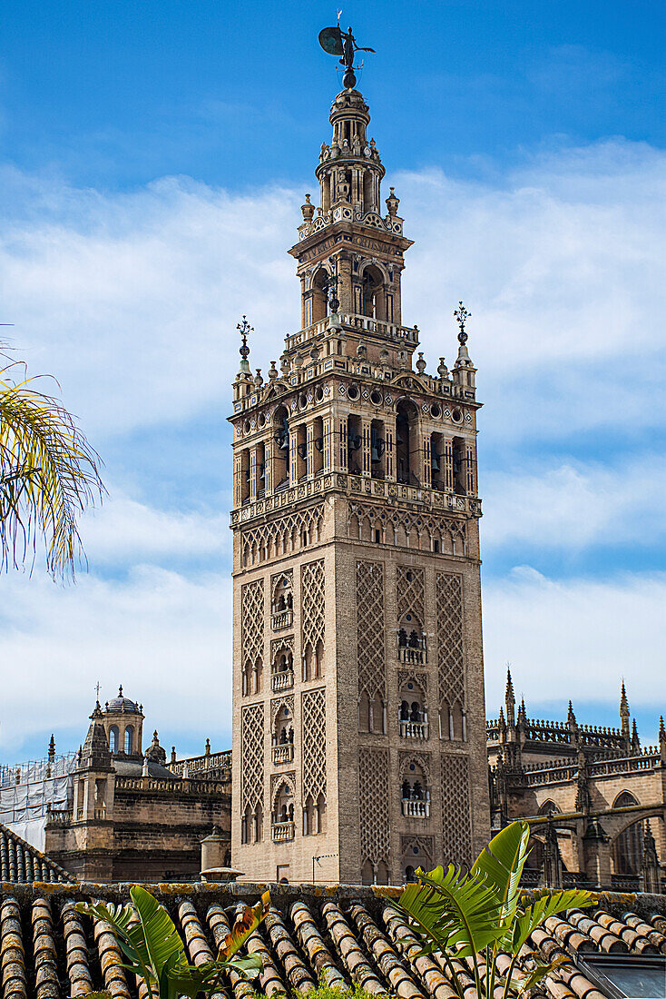 Giralda, bell tower of Seville Cathedral, and rooftops; Seville, Spain
