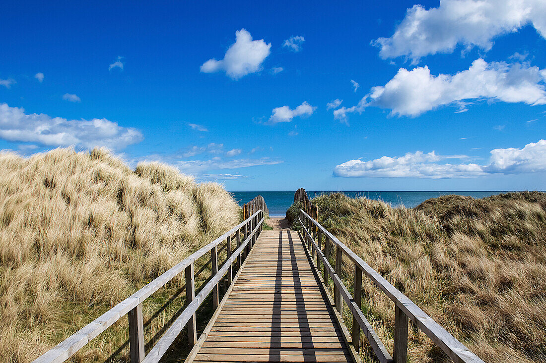 Spaziergang am West Sands Beach mit Blick auf das blaue Meer und den Horizont; St. Andrews, Fife, Schottland.
