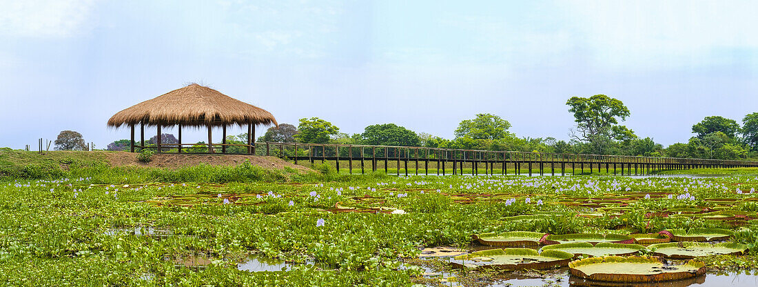 Hotel Porto Jofre; Pantanal, Brasilien