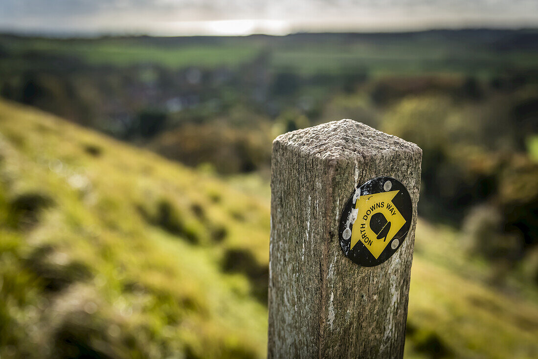 Trail sign, North Downs Way, Southern England; Kent, England