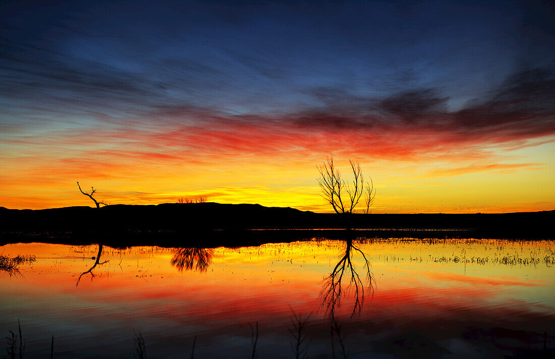 Dramatic sunrise over water, Bosque Del Apache Wildlife Refuge; New Mexico, United States of America