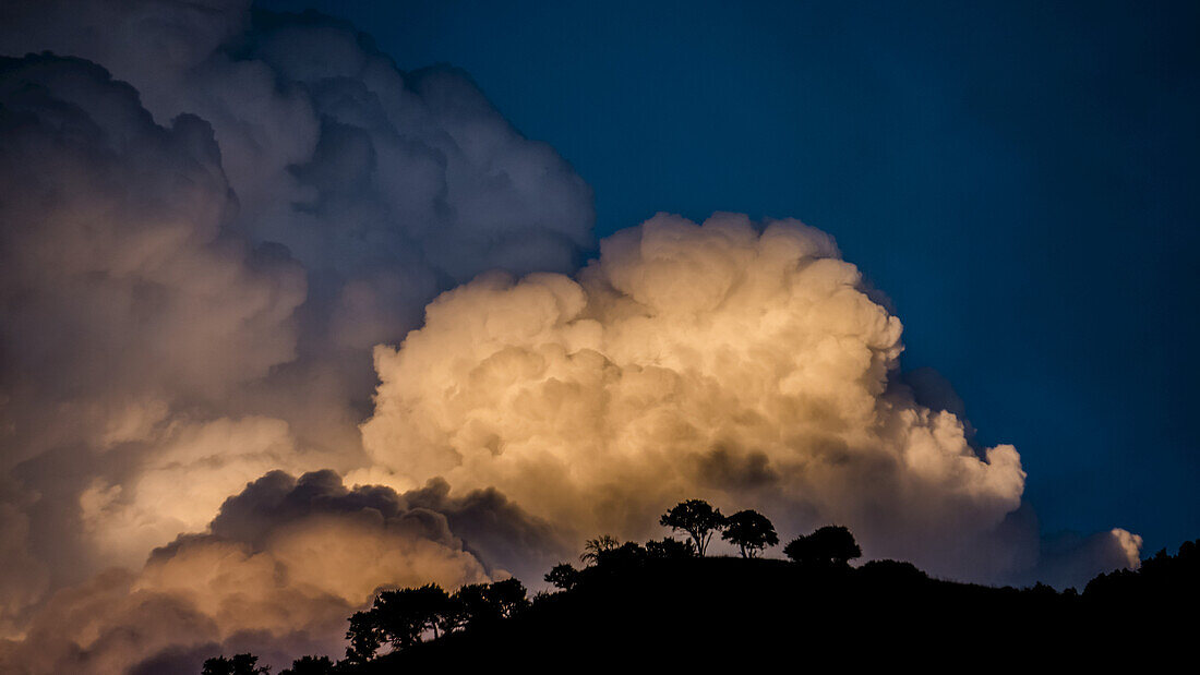 Billowing clouds glowing at sunset over silhouetted trees and hilltop; Utah, United States of America